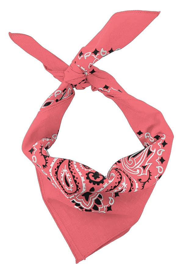 Bandanna - 22" MADE IN USA - Honeysuckle Paisley