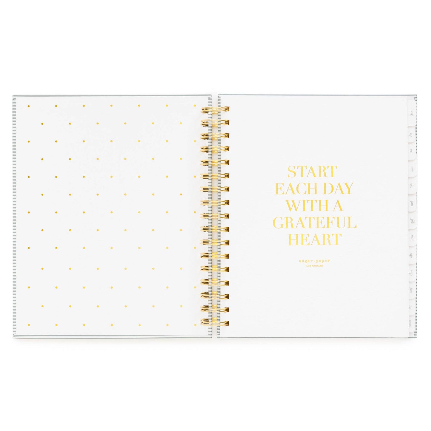 2026-2027 Dusty Blue Pinstripe Academic Spiral Weekly & Monthly Planner