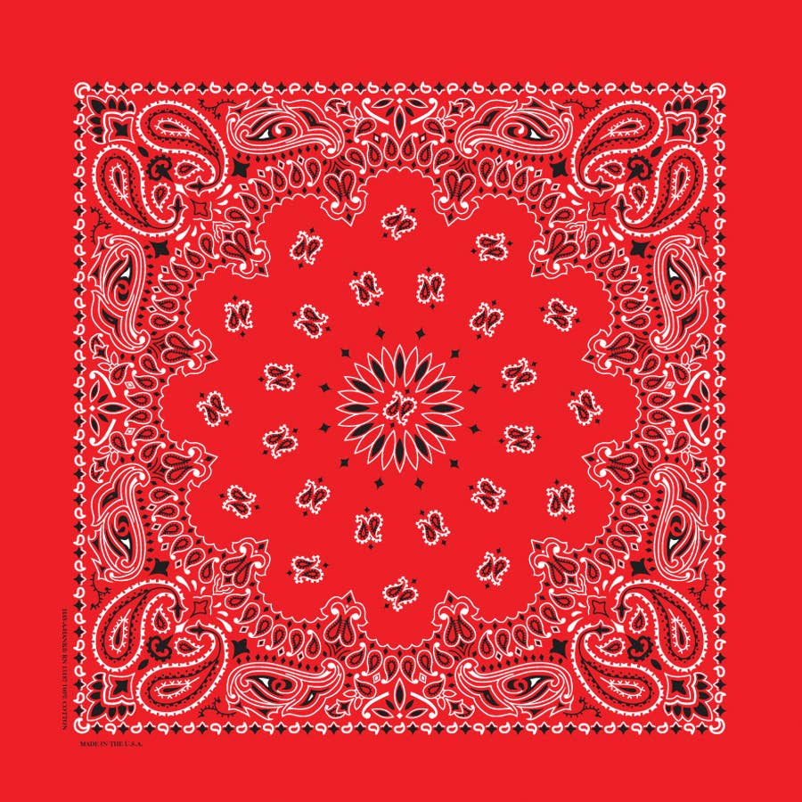 Bandanna - 22" MADE IN USA - Red Paisley
