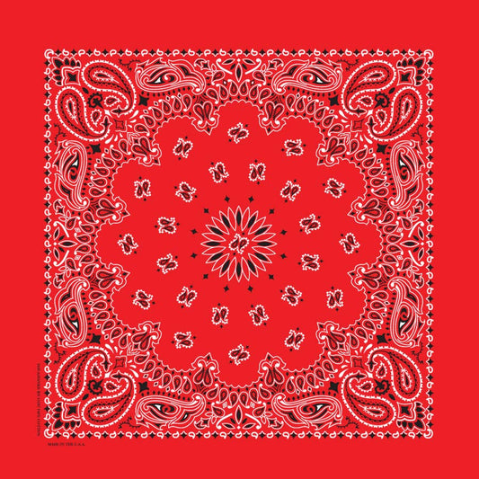 Bandanna - 22" MADE IN USA - Red Paisley