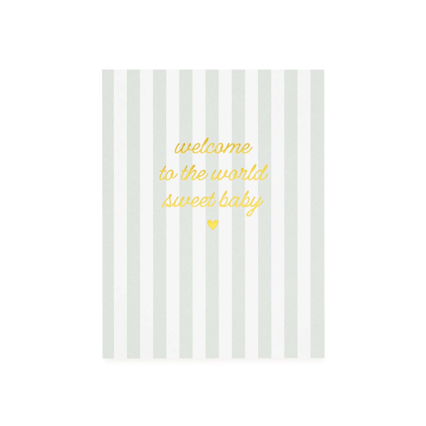 Everyday Box Set | 12 Assorted Greeting Cards