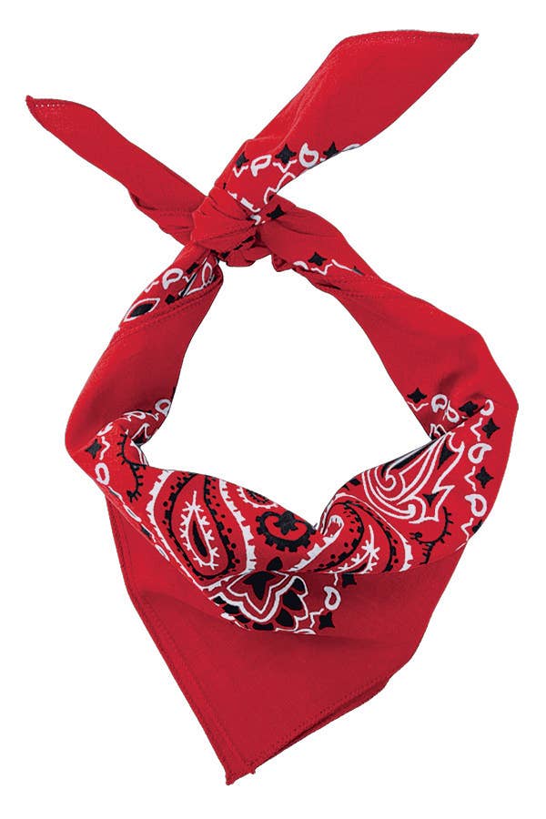 Bandanna - 22" MADE IN USA - Red Paisley