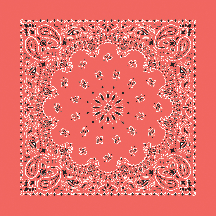 Bandanna - 22" MADE IN USA - Honeysuckle Paisley