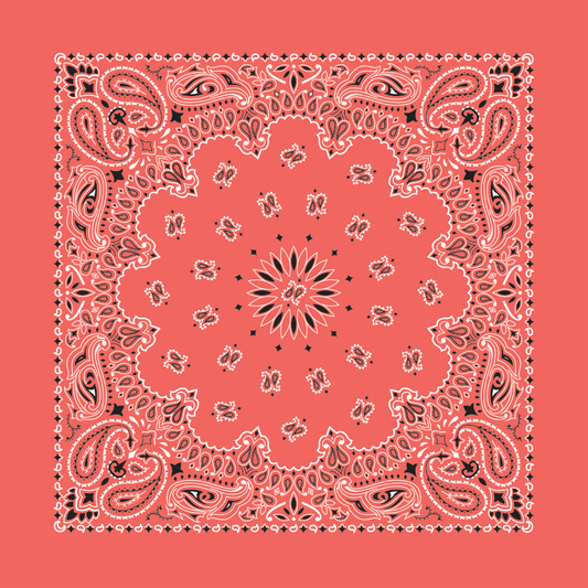 Bandanna - 22" MADE IN USA - Honeysuckle Paisley