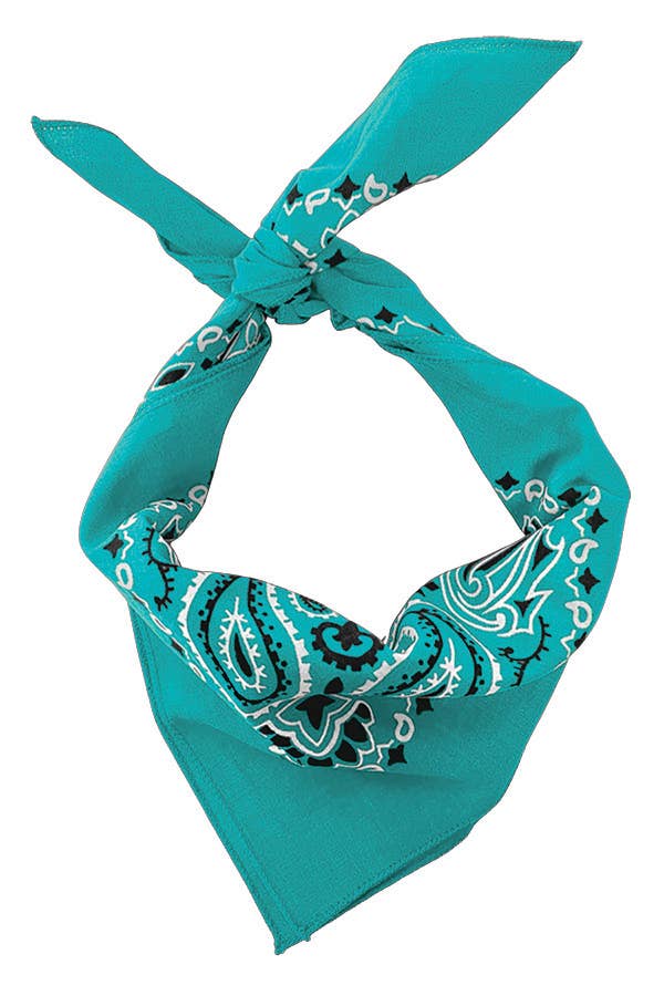 Bandanna - 22" MADE IN USA - Turquoise Paisley