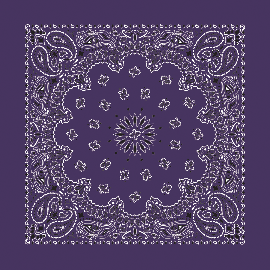 Bandanna - 22" MADE IN USA - Plum Paisley