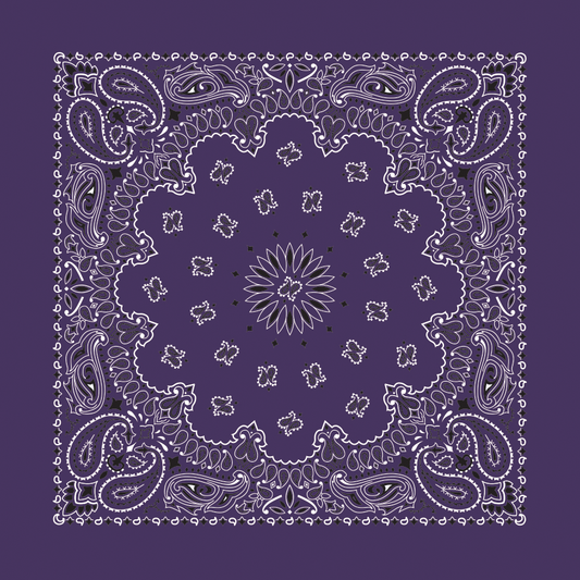 Bandanna - 22" MADE IN USA - Plum Paisley