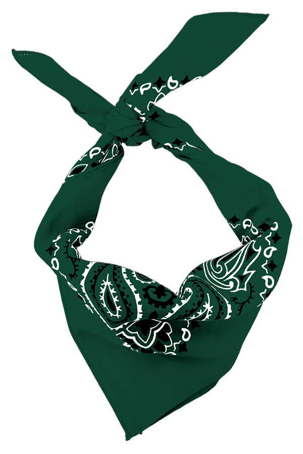 Bandanna - 22" MADE IN USA - Hunter Paisley