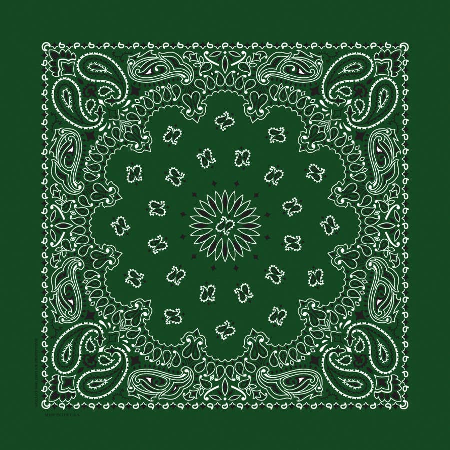 Bandanna - 22" MADE IN USA - Hunter Paisley