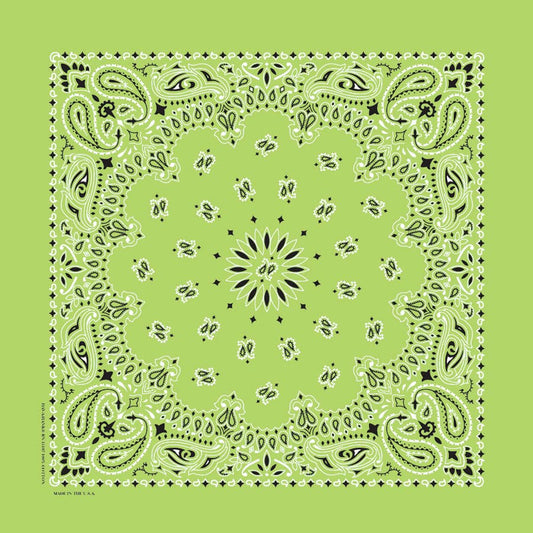 Bandanna - 22" MADE IN USA - Lime Paisley