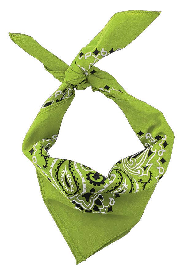Bandanna - 22" MADE IN USA - Lime Paisley