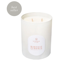 Harvest Pumpkin by Linnea