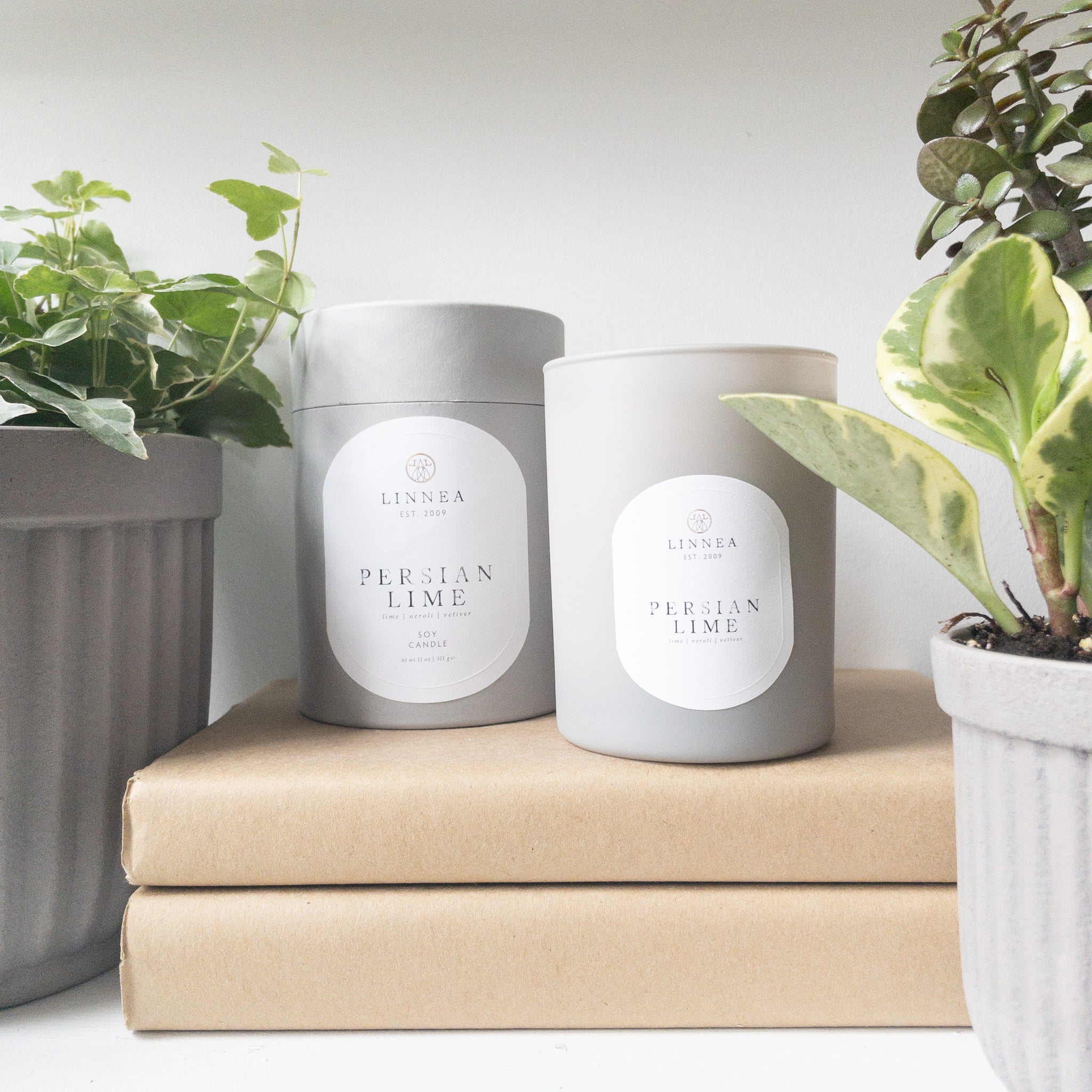 Persian Lime by Linnea